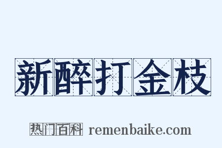 新醉打金枝是什么意思的图片
